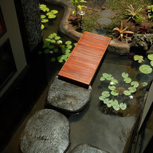 Landscape Ideas
