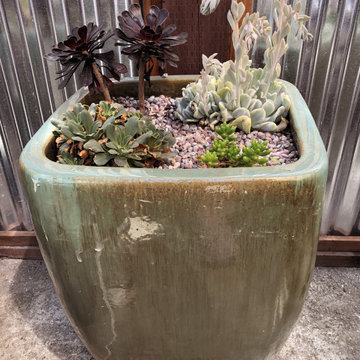 Vietnamese glazed pottery with succulents (Modern Industrial