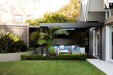 Mid-sized contemporary backyard formal garden in Sydney with decking.