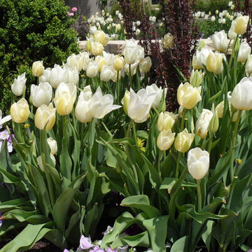 AC Dwellings Gardens