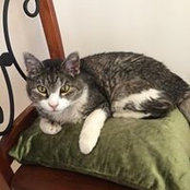 Carmen Norrish's photo