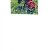 Renee Bulick's photo