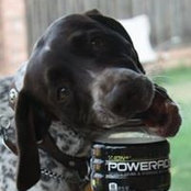 Terri Milligan's photo