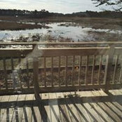 Beverly Olans's photo