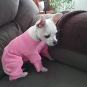 Gail Coluccj's photo