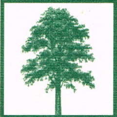 Walnut Tree Construction, Inc.