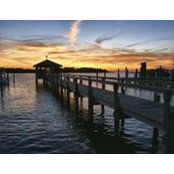 Helena Stevens's photo