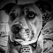 Buddy Olinger's photo