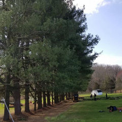 Furr's Tree & Landscaping Fredericksburg