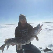 Seth Delong's photo