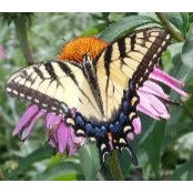 Melissa Plummer's photo