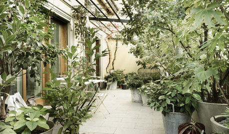 Italian Houzz: A Light, Bright Family Apartment in a Lush Urban Oasis