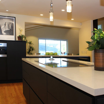 Cupertino kitchen in carbon oak and gloss white cabinets