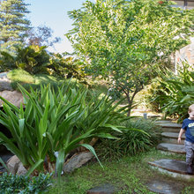 Landscape Ideas