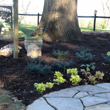 Pet memorial garden and patio