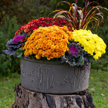 fall decoration