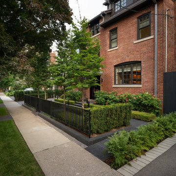 Contemporary Garden