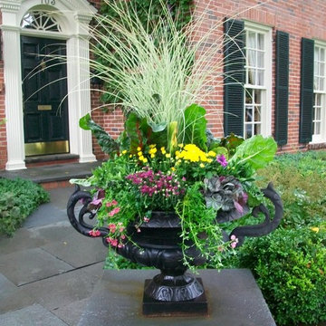 Seasonal Decor