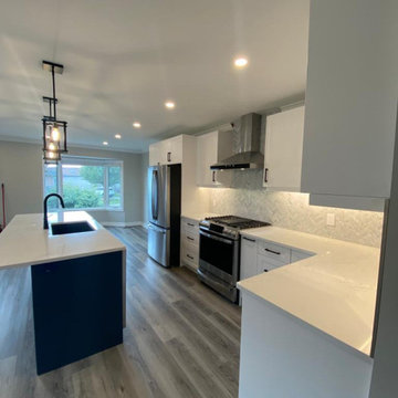 Complete Kitchen, living room and dining room remodel