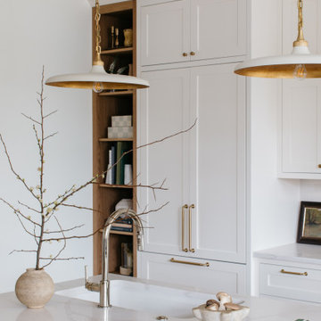 Chicago Renovation