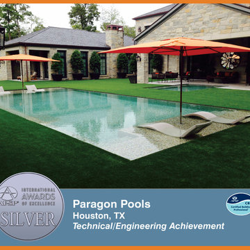 2014 APSP International Awards of Excellence