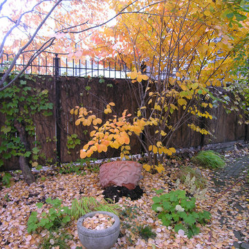 All seasons garden | Artistry Landscaping Design