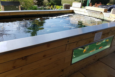 Stainless Steel Capped timber ponds with viewing windows.