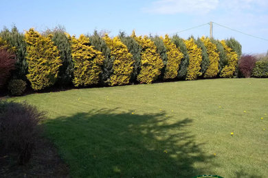 Design ideas for a landscaping in Dublin.