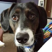 Emily Mileski's photo
