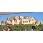 Emilie Hamilton's photo