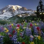 Sheila Bisel's photo