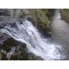 Almico Rocks