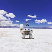 Alicia Luchetti's photo