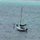 stephania_ferrell