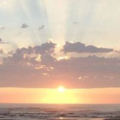 Laura Hoe's photo