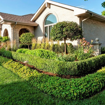 Boxwood Hedge