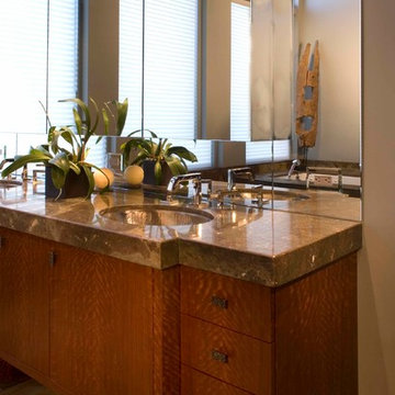 Titanium Lofts