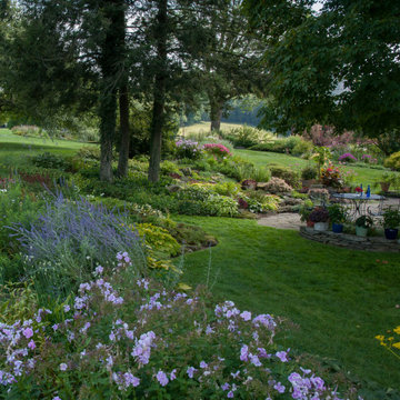Transition an overgrown site into a multi-season native garden in CT