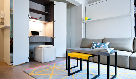 Fun Houzz: Clever Ways to Share Your Living Space Harmoniously