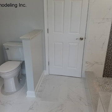 Toto toilet and half wall.