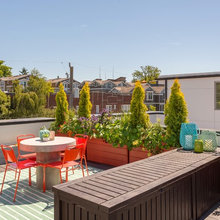 Rooftop Garden