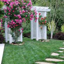 Deck Design