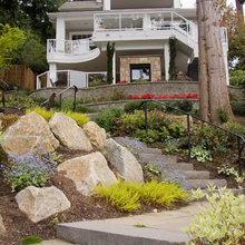 sloping back yard