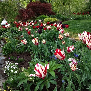 Spring Bulb Designs