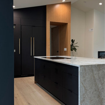 Kitchen Cabinets