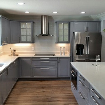 Contemporary Kitchen Design