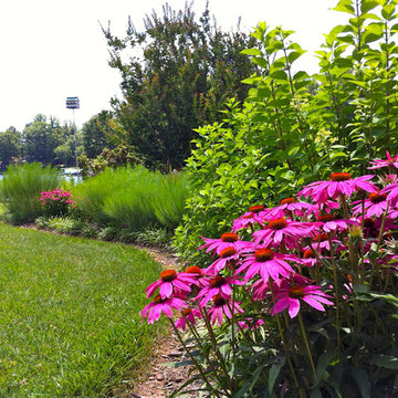Lake near Fredericksburg, VA: Plant&Sustain for Clean Water