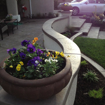 Mow Strip & Concrete Curb