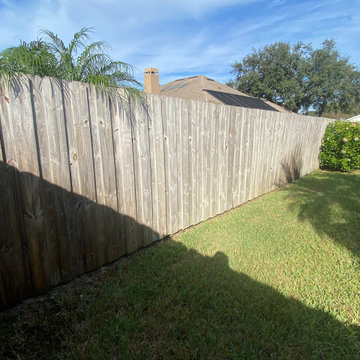 Orlando Fence Solid Stain