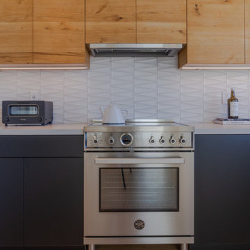 Interior remodeling- Dog -Patch apartment - Japanese style
